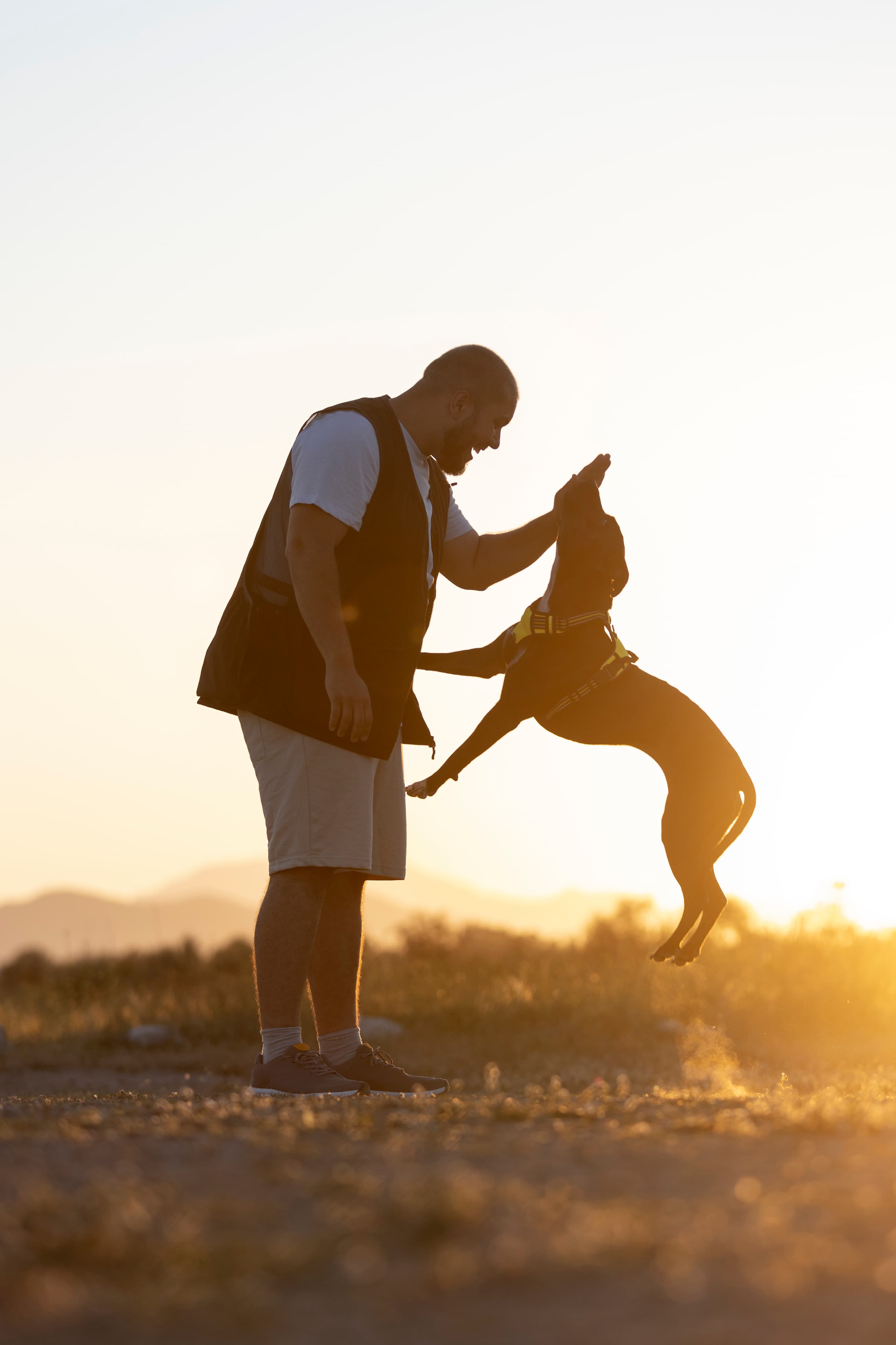 Certified trainer at Canine Craft Academy working with a German Shepherd during an obedience session in Bangalore